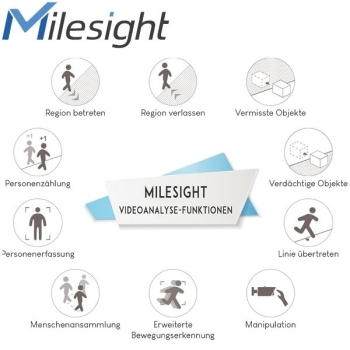 Milesight Video Analyse